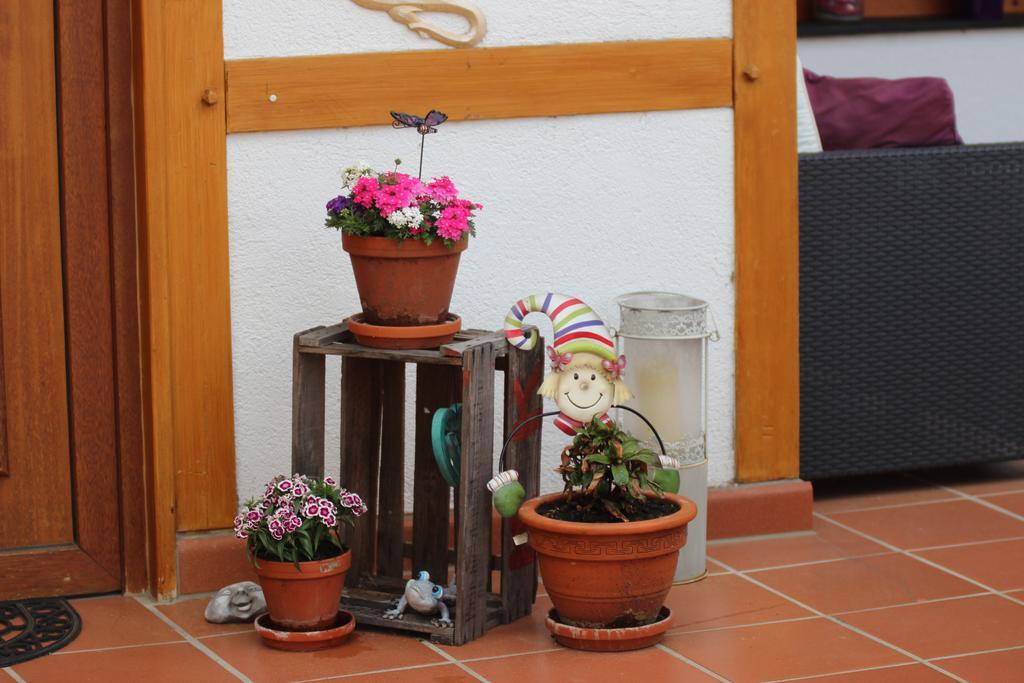 Haus Winkelchen Villa Cochem Dış mekan fotoğraf